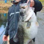 The Real World Record Largemouth Bass