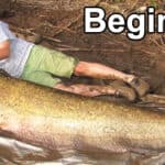 Why do Beginners Catch all the Fish?