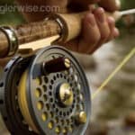 The Pros and Cons of Fly Fishing when Compared to Spin Fishing