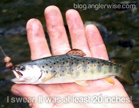 Why are Fishermen Know as Liars? Do Anglers Really Lie? Fishermen Anglers Lie Liars Lying