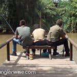 Win Every Fishing Competition Between Friends