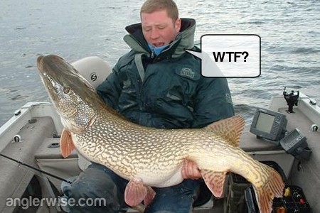 Giant Pike Caught Using a Large Pike as Bait Giant Pike Fishing