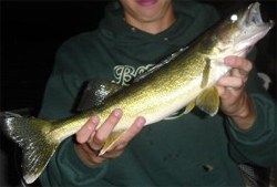 Shad Raps for Walleye