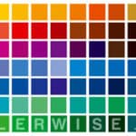 What’s the Best Color for Fishing?
