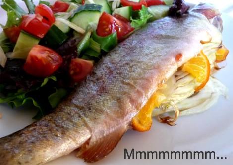Great Tasting Fish Great Tasting Fish