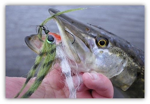 ultralight fishing lures